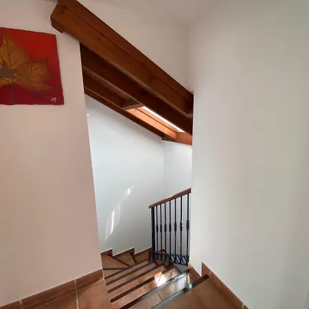 Apartment Charming 1 Bedroom With Shared Kitchen Next To Puerto Banus Marbella